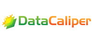 Logoinn created this logo for DataCaliper LLC - who are in the Computer Logo Design  Sectors