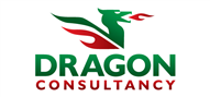 Logoinn created this logo for Dragon Consultancy - who are in the Communication Logo Design  Sectors